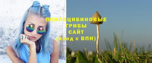 стаф Волосово