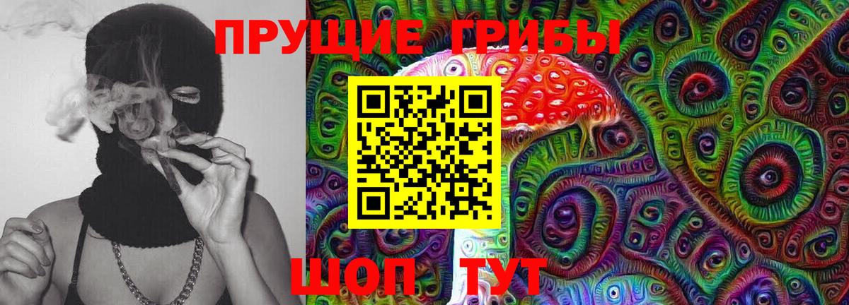 Псилоцибиновые грибы мицелий  Псилоцибиновые грибы GOLDEN TEACHER  Моршанск  наркота  Вход с VPN 
