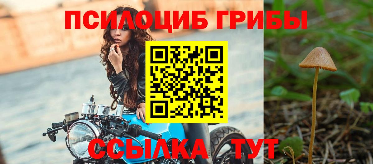 Галлюциногенные грибы мицелий Моршанск